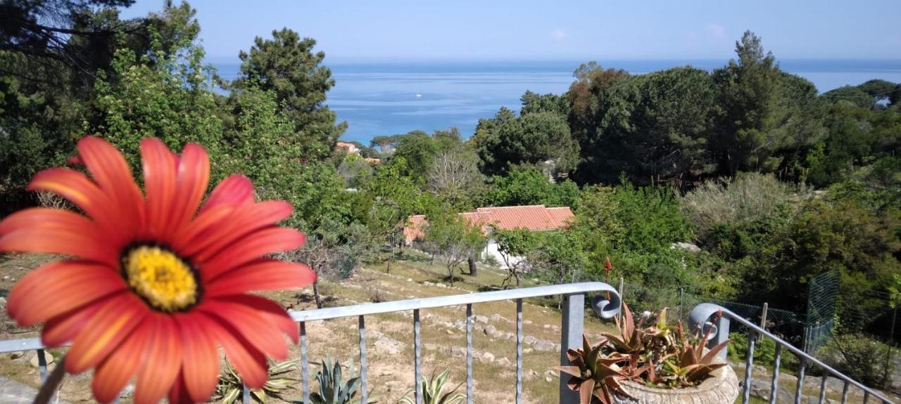 Casa Panoramica Bouganville ซานต์อันเดร ภายนอก รูปภาพ
