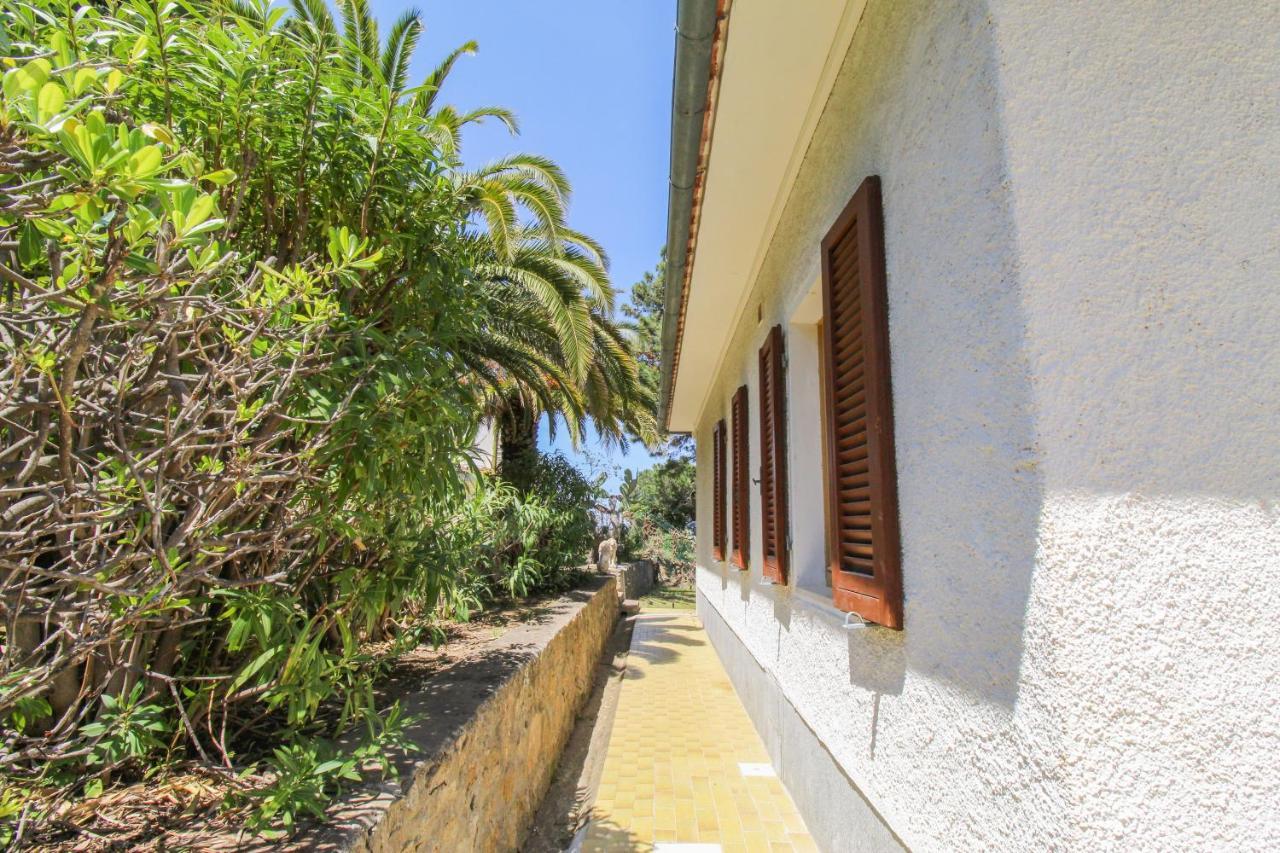 Casa Panoramica Bouganville ซานต์อันเดร ภายนอก รูปภาพ