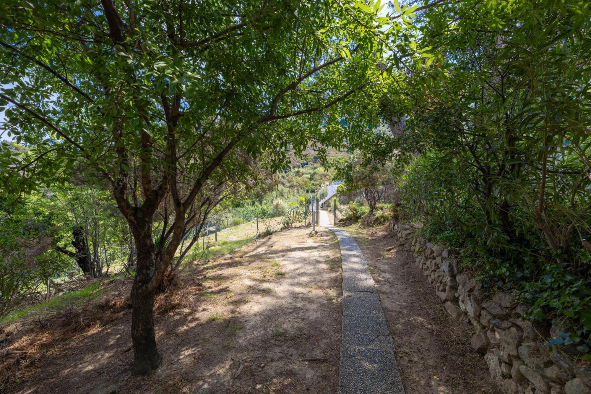 Casa Panoramica Bouganville ซานต์อันเดร ภายนอก รูปภาพ