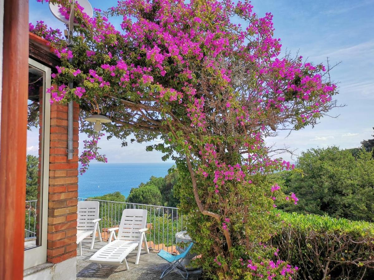 Casa Panoramica Bouganville ซานต์อันเดร ภายนอก รูปภาพ